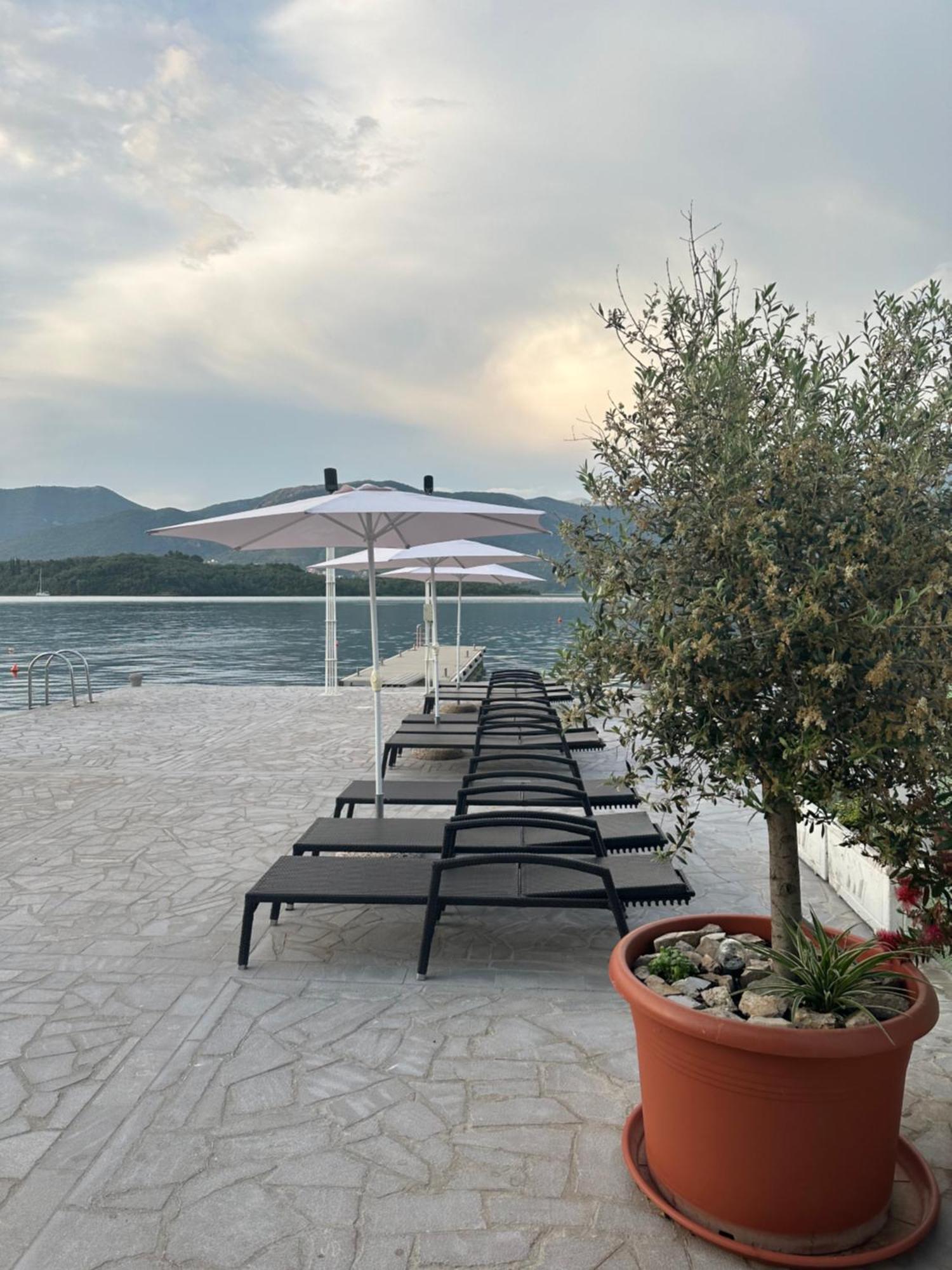 Apartments Kovinic Tivat Dış mekan fotoğraf